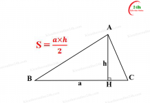 cách tính diện tích hình tam giác