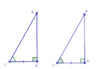 2 tam giác vuông bằng nhau theo trường hợp g-c-g